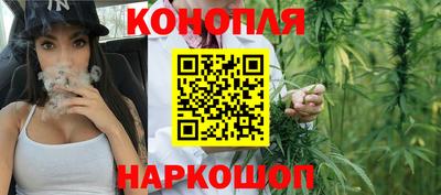 прущие грибы Будённовск