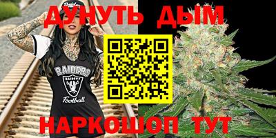 прущие грибы Будённовск