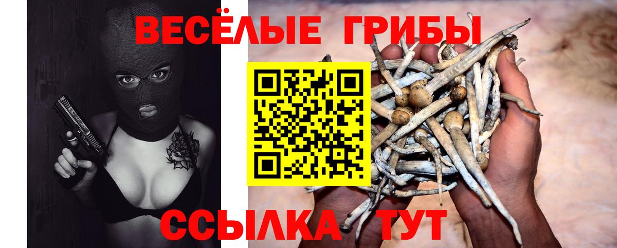 Галлюциногенные грибы прущие грибы Камышлов